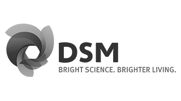 DSM Logo grey