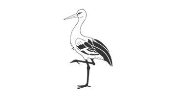 Storchen logo grey