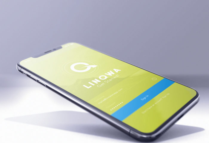 LinQwa - Logo- & Signetentwicklung