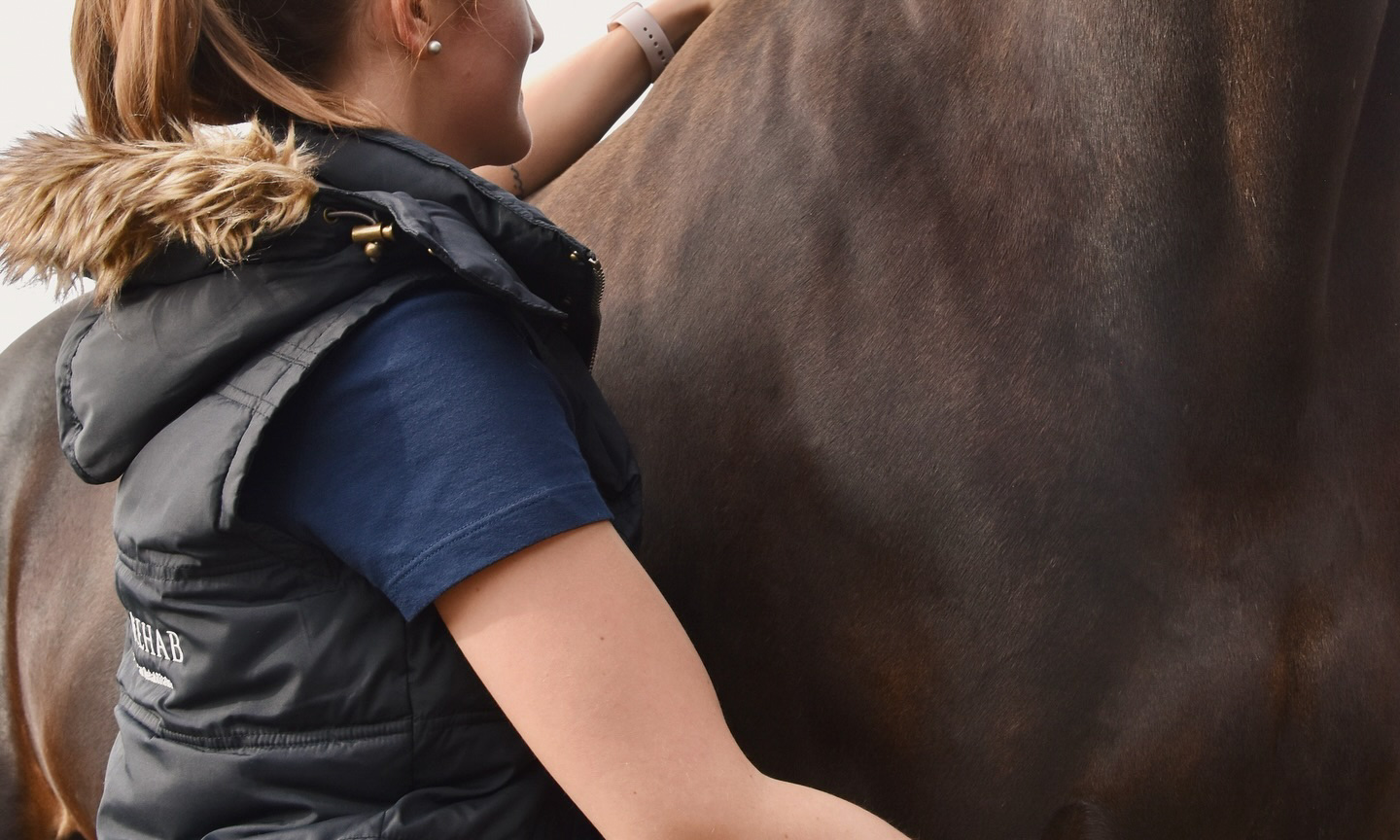 Equi Rehab Stock 002