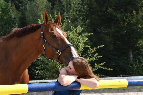 Equi-Rehab GmbH – Impressionen