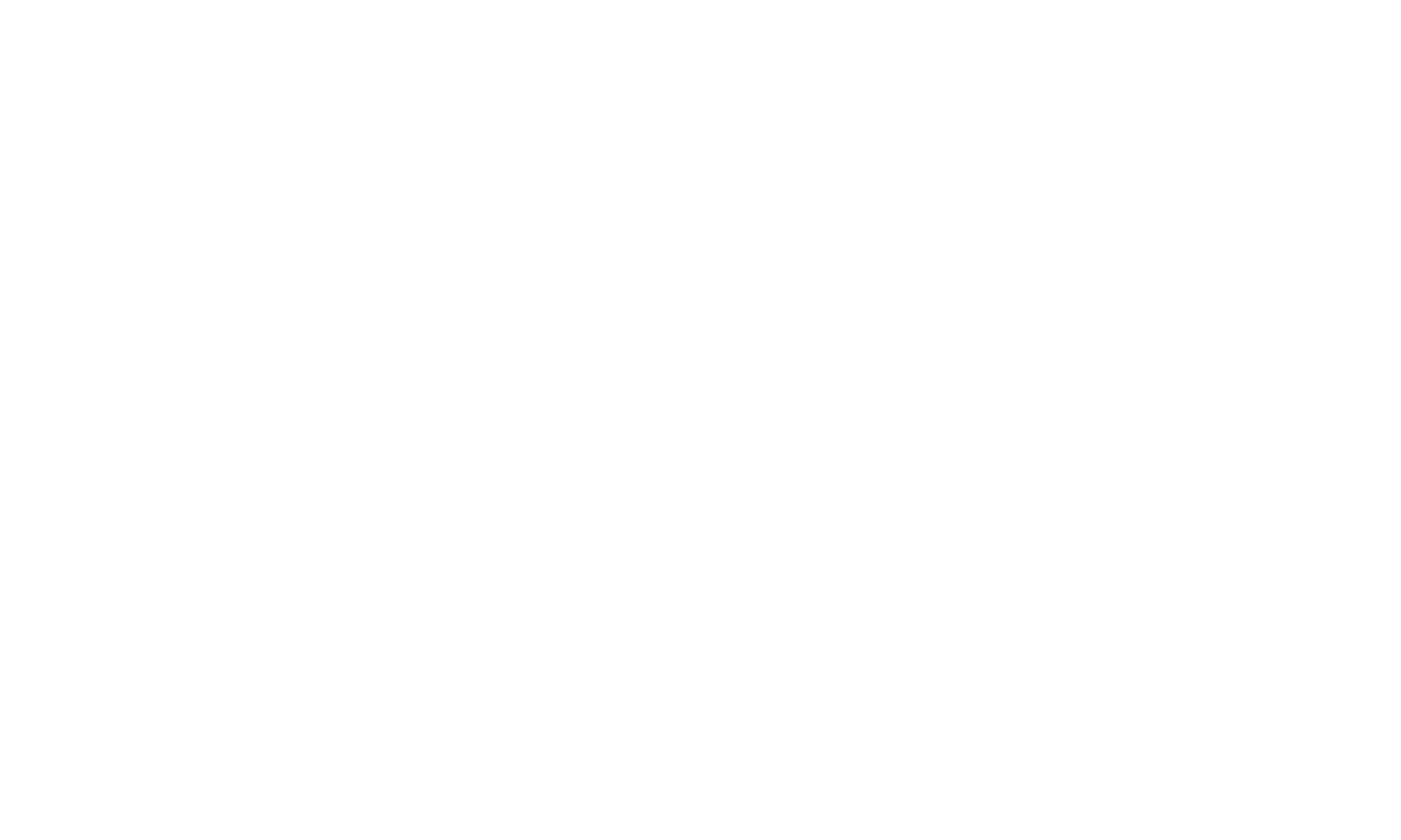 Laura_Palazzo_logo
